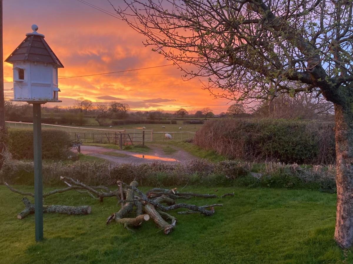 The Stable With Cosy Logburner Holiday home Wrexham